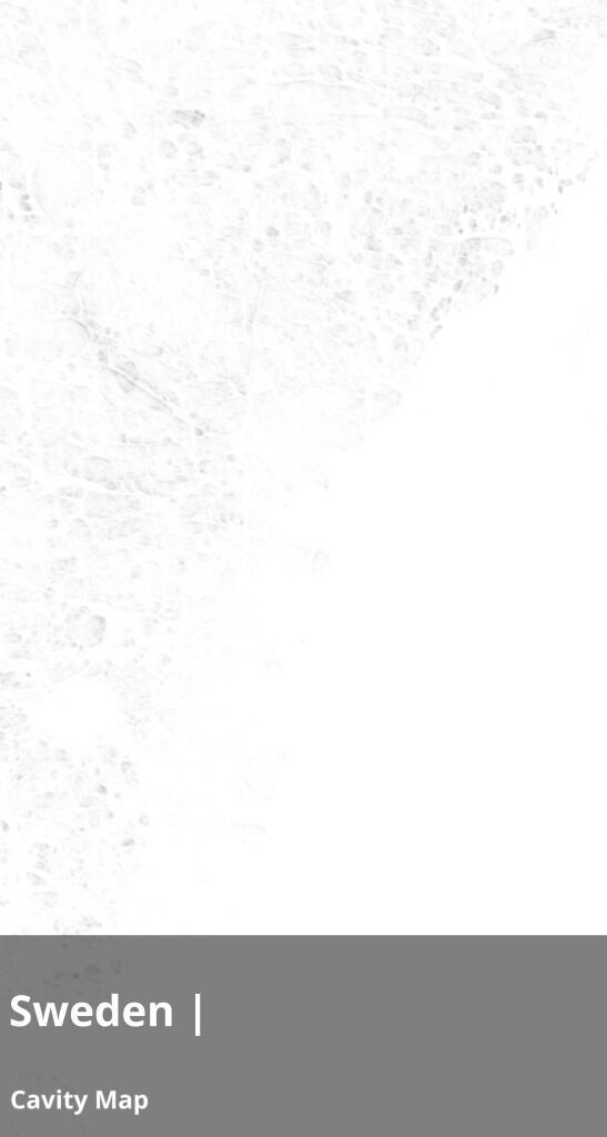 Sweden Occlusion Thickness Cavity Curvature Direct 10k Maps Texture_4