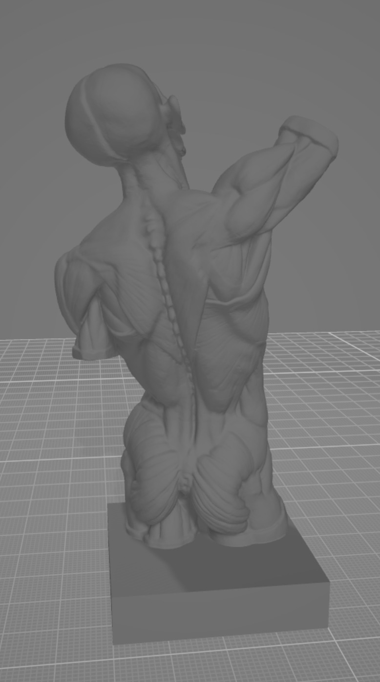 Munich Torso  3D print model_1