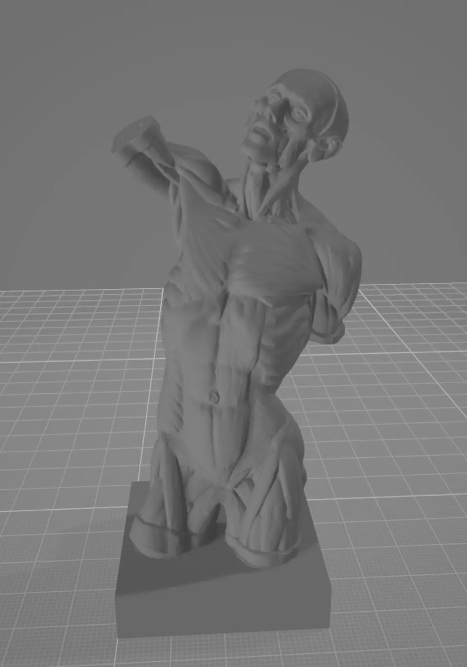 Munich Torso  3D print model_0
