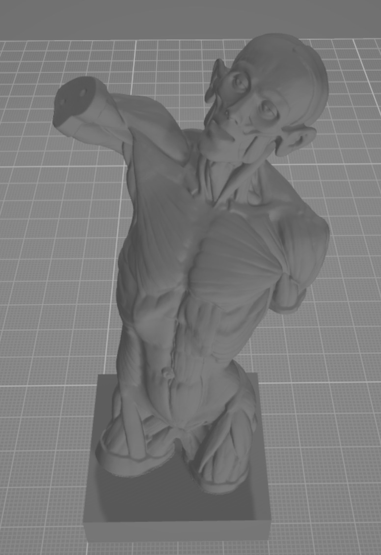 Munich Torso  3D print model_2