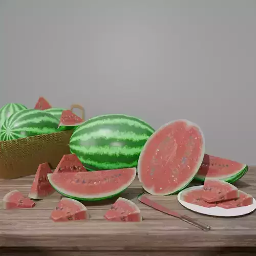 Realistic Collection Of Watermelon Set 