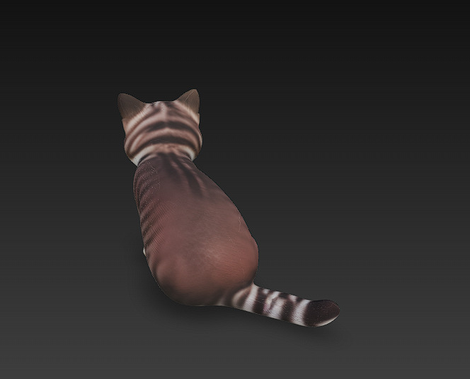 Cat Realistic 3D Model Basic - Low Poly Realistic Low-poly 3D model_4