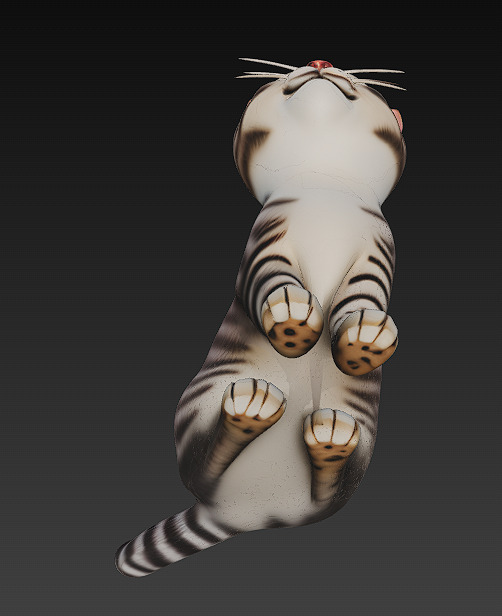 Cat Realistic 3D Model Basic - Low Poly Realistic Low-poly 3D model_6