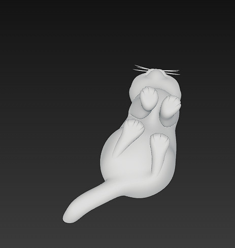 Cat Realistic 3D Model Basic - Low Poly Realistic Low-poly 3D model_16