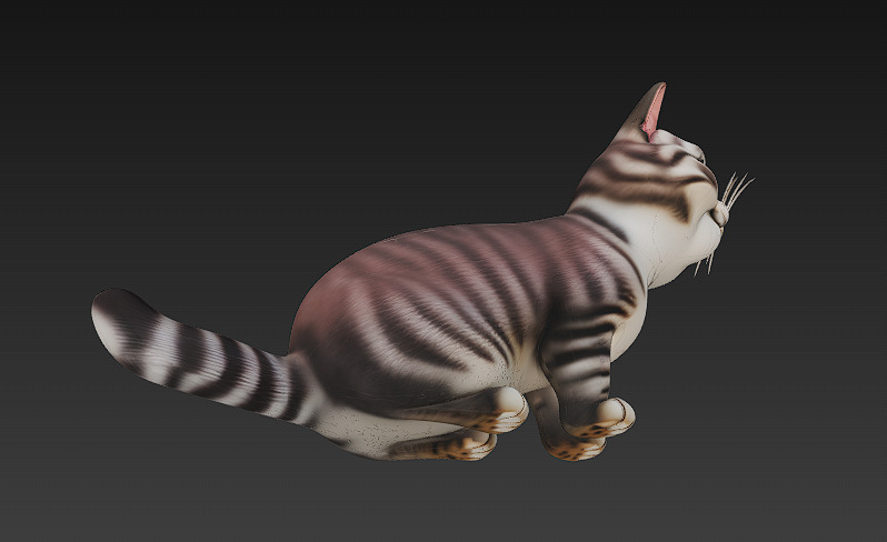 Cat Realistic 3D Model Basic - Low Poly Realistic Low-poly 3D model_7