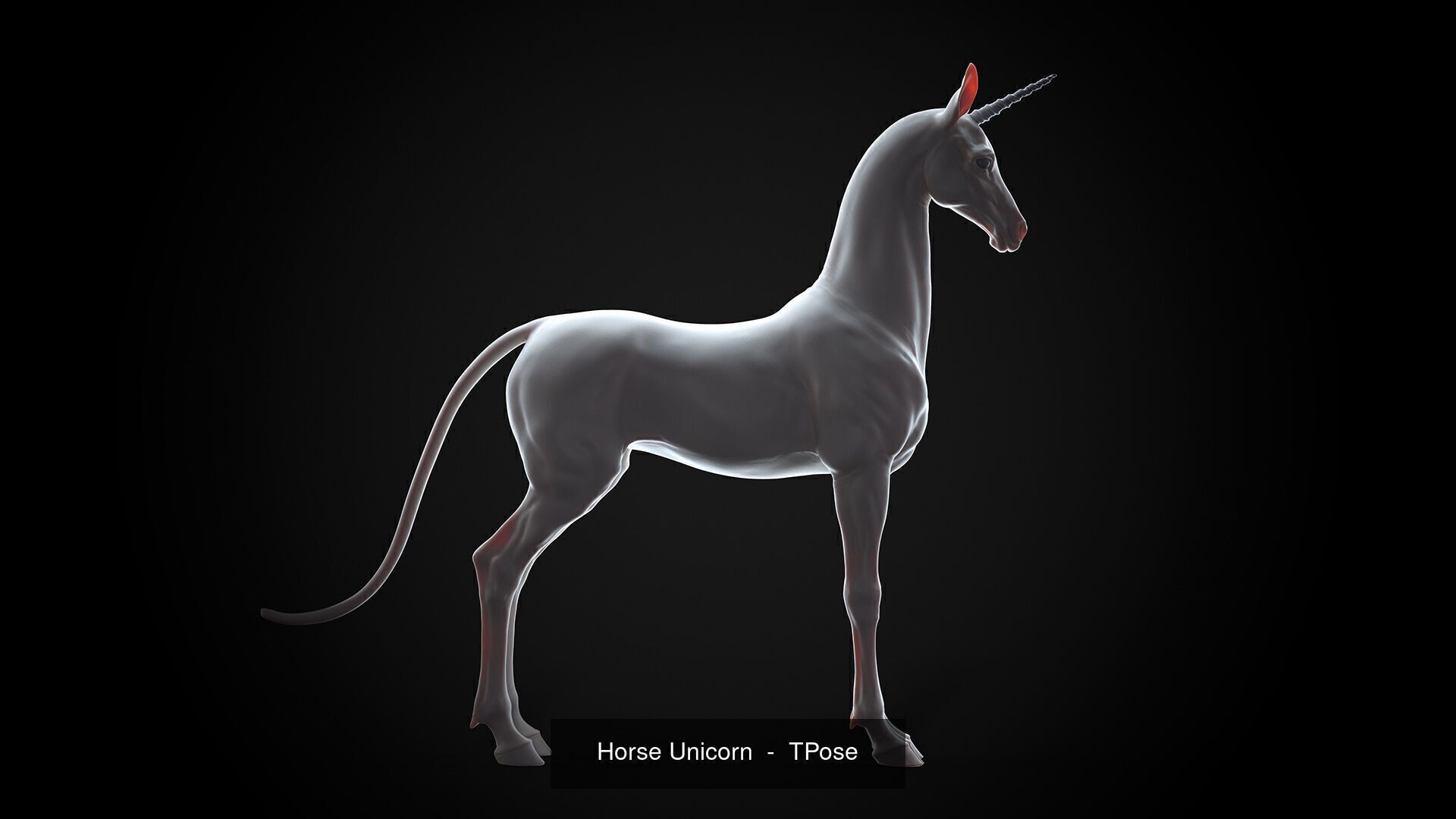 4 Horses   I  TPose 3D Model Collection_4