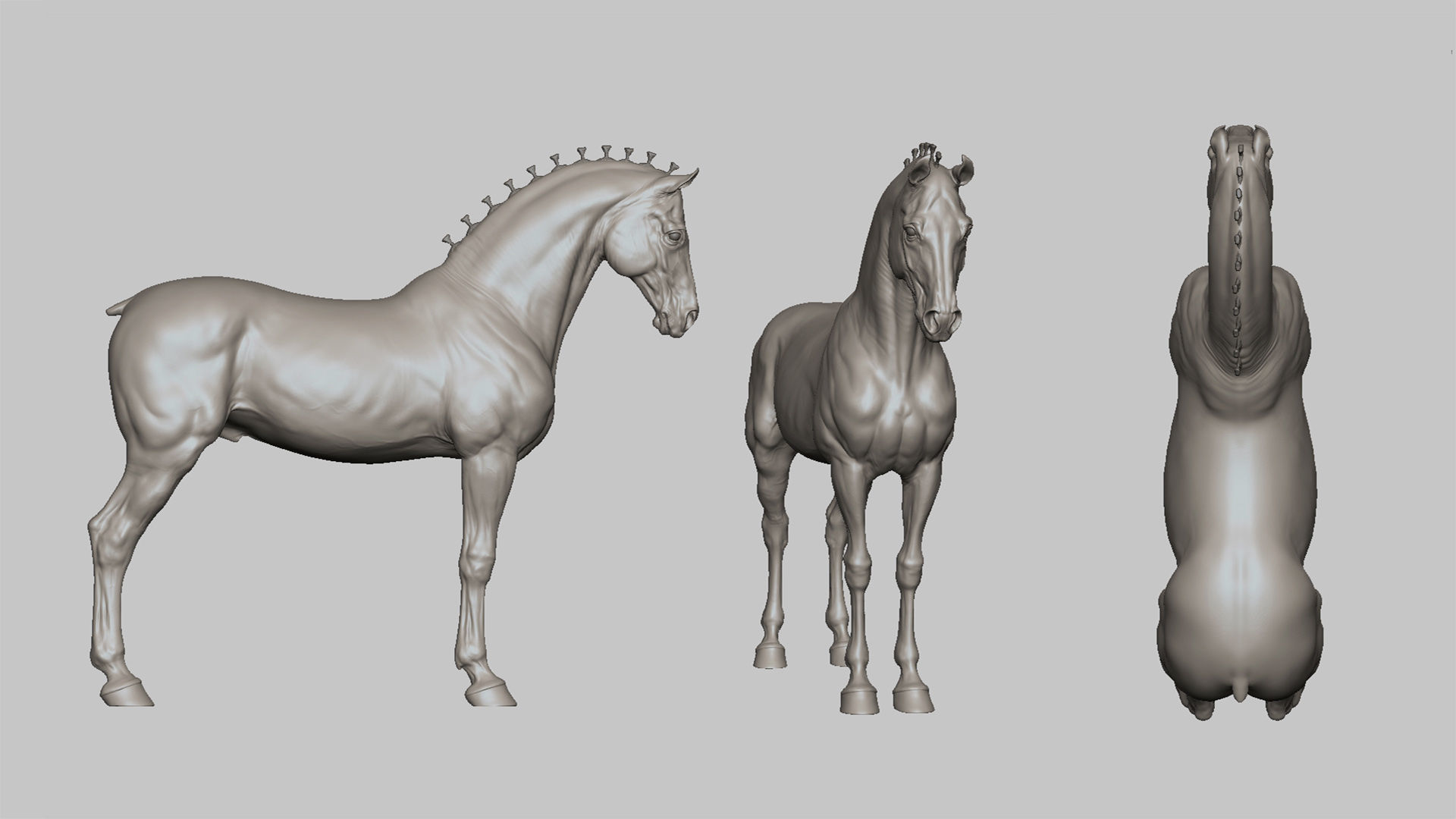 4 Horses   I  TPose 3D Model Collection_6