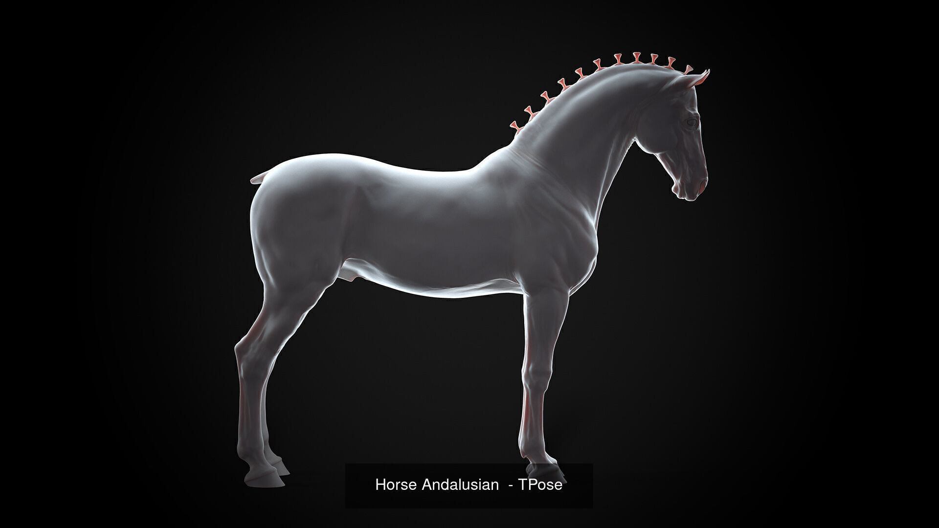 4 Horses   I  TPose 3D Model Collection_1