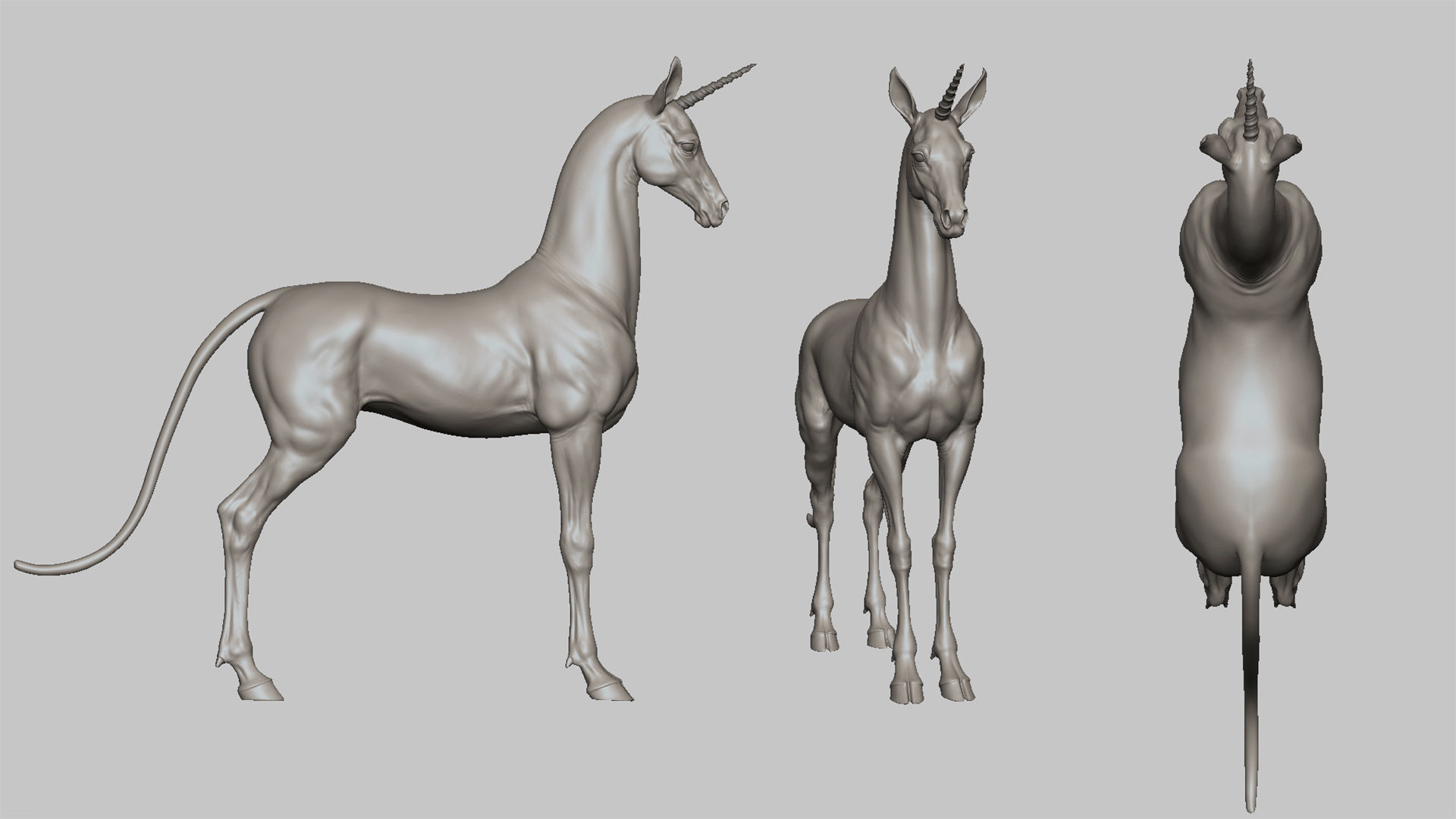 4 Horses   I  TPose 3D Model Collection_5
