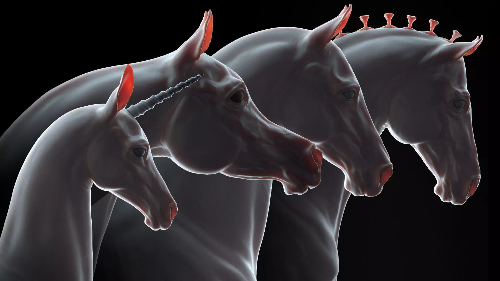 4 Horses   I  TPose 3D Model Collection_0