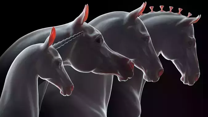 4 Horses   I  TPose 3D Model Collection