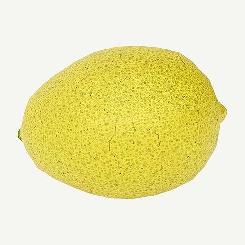 Lemon Fruit   3D model 7