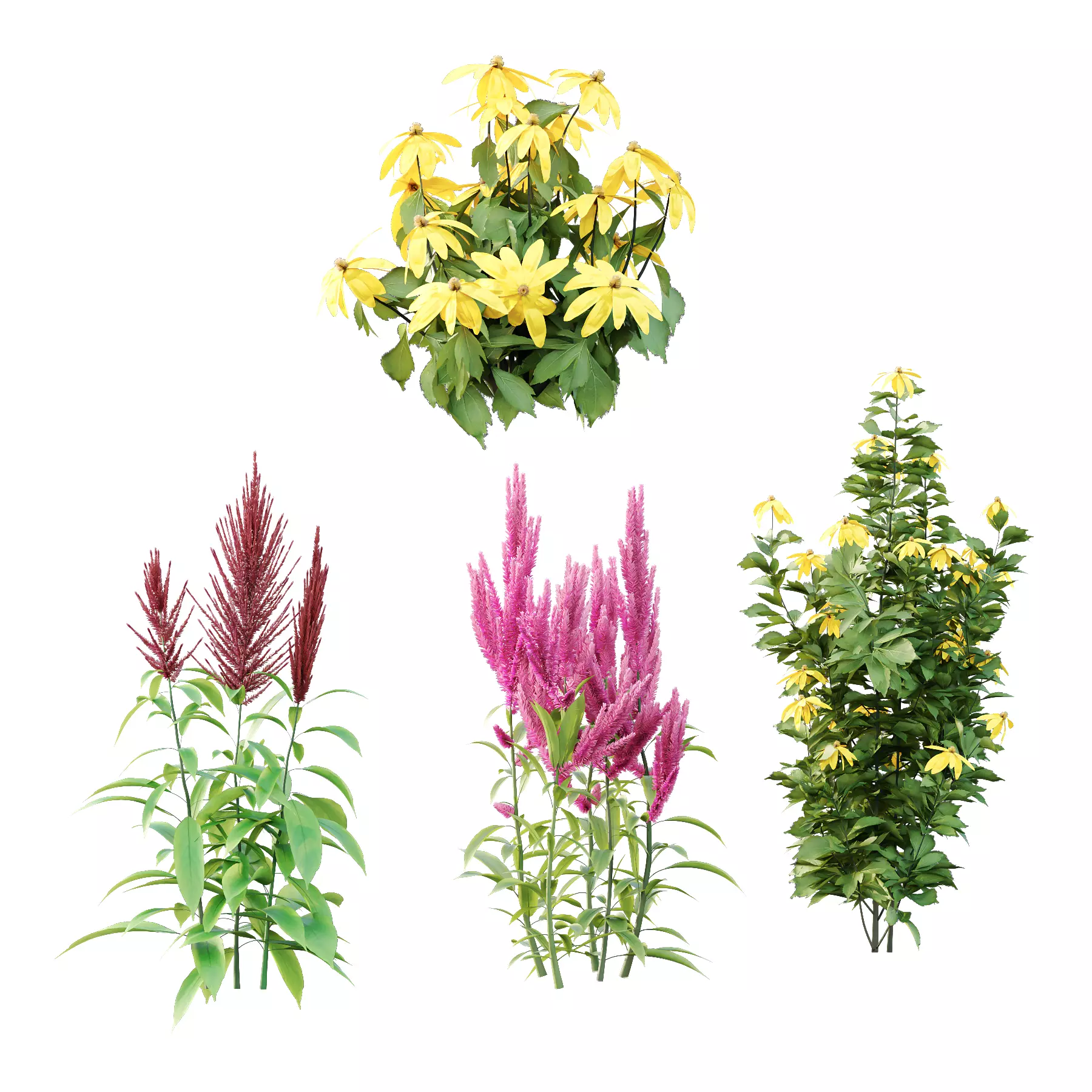 Different Grass 04 3D model_0