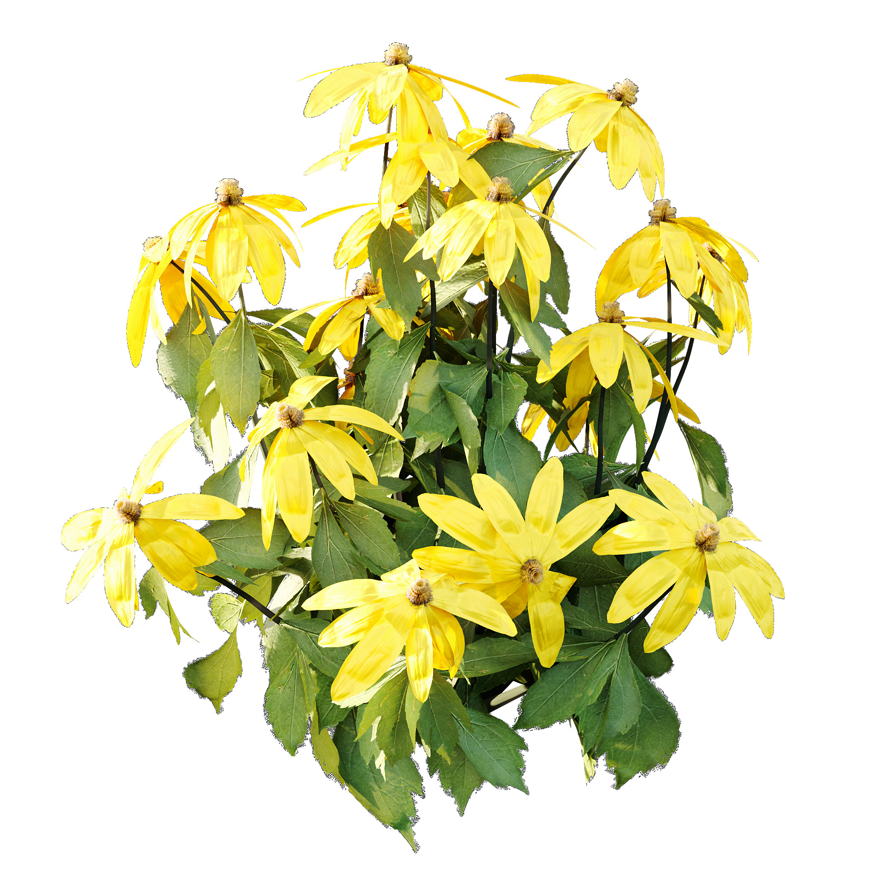 Different Grass 04 3D model_1