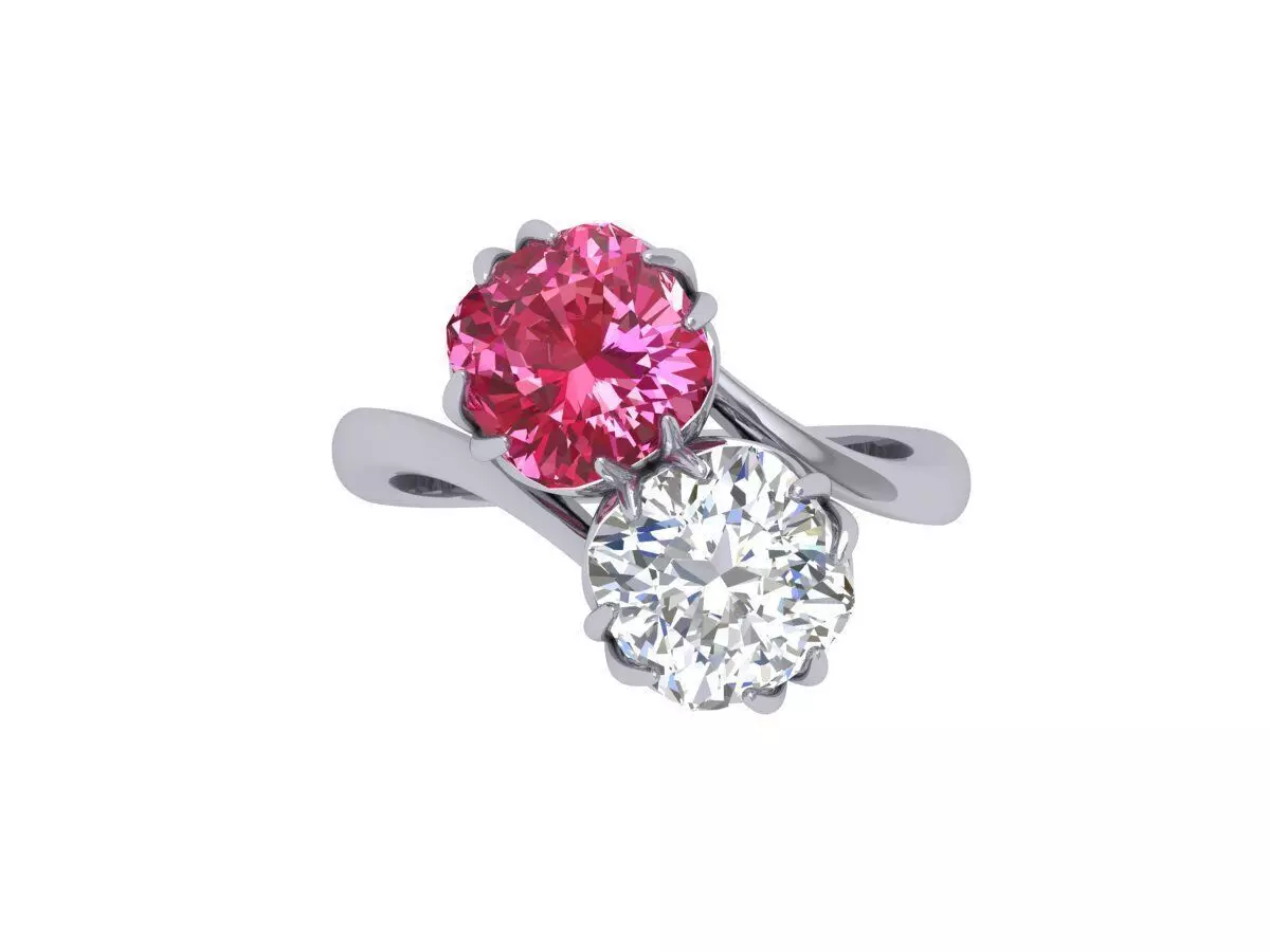 2-Stone-Ring 3D print model_0