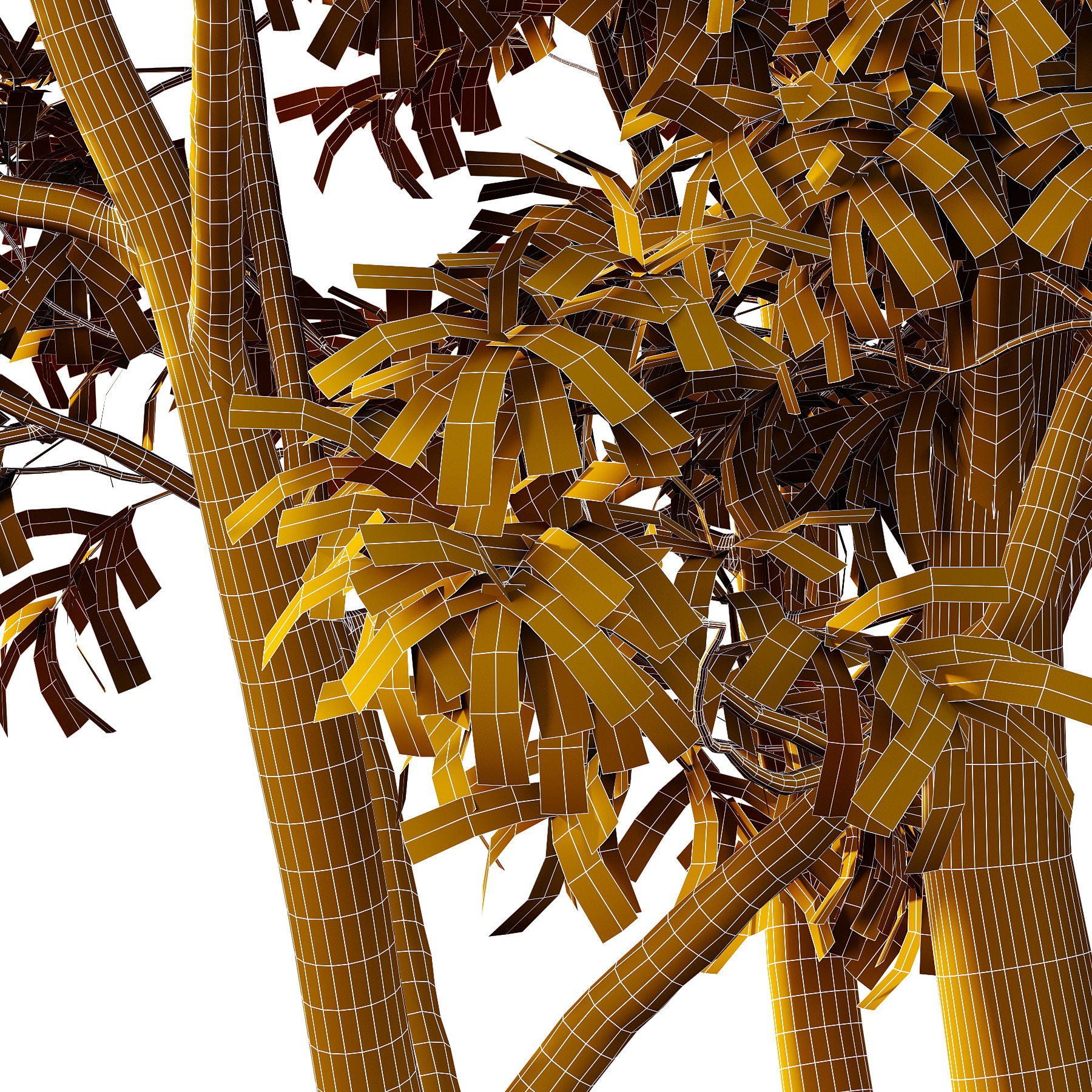 Water Gum Tree 04 3D model_4
