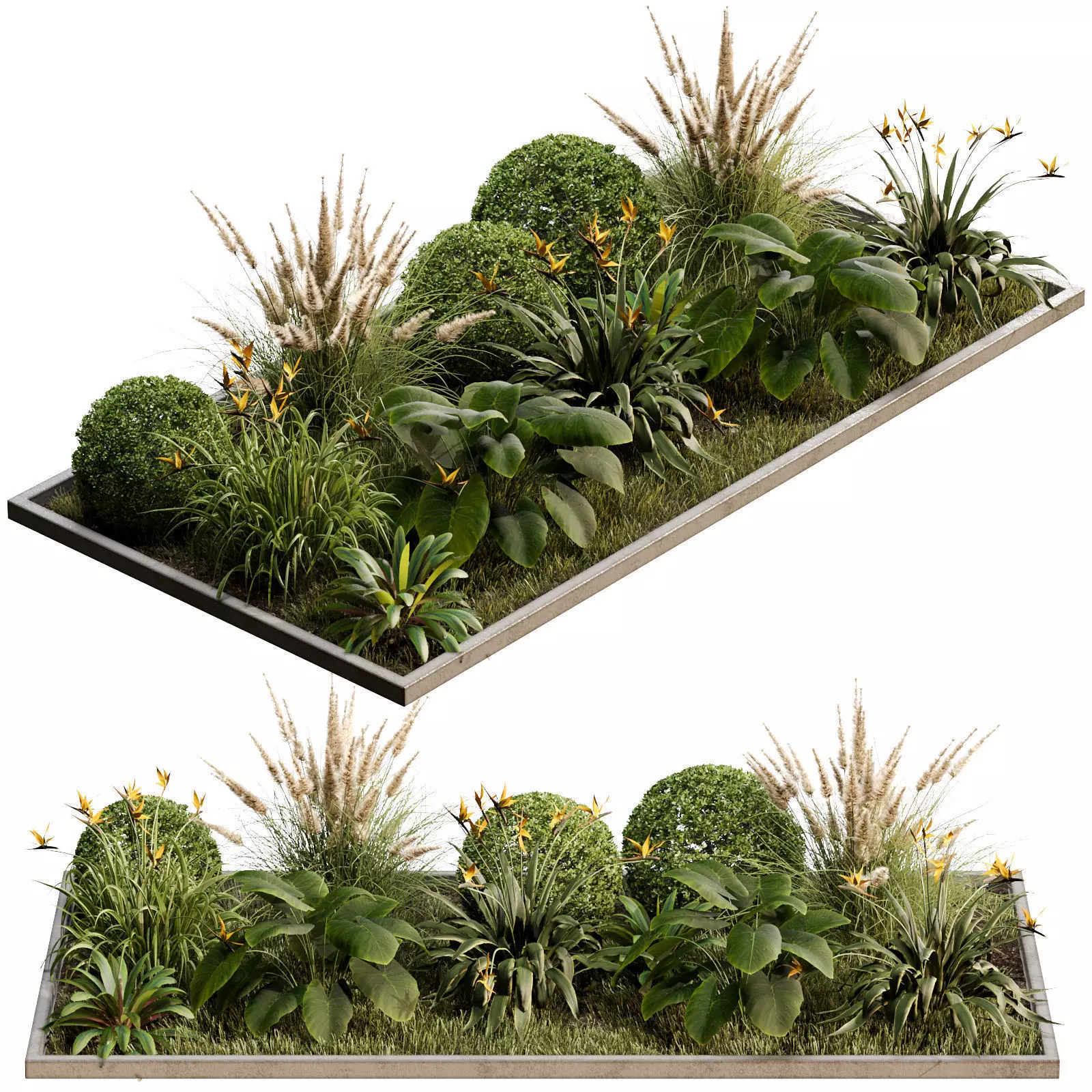 Outdoor Plant 30 3D model
