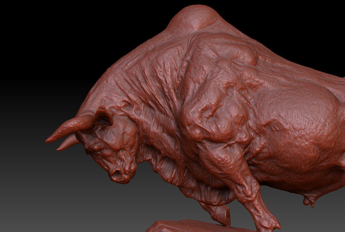 Pioneer cattle Wall Street Bulls cattle 3D print model_3