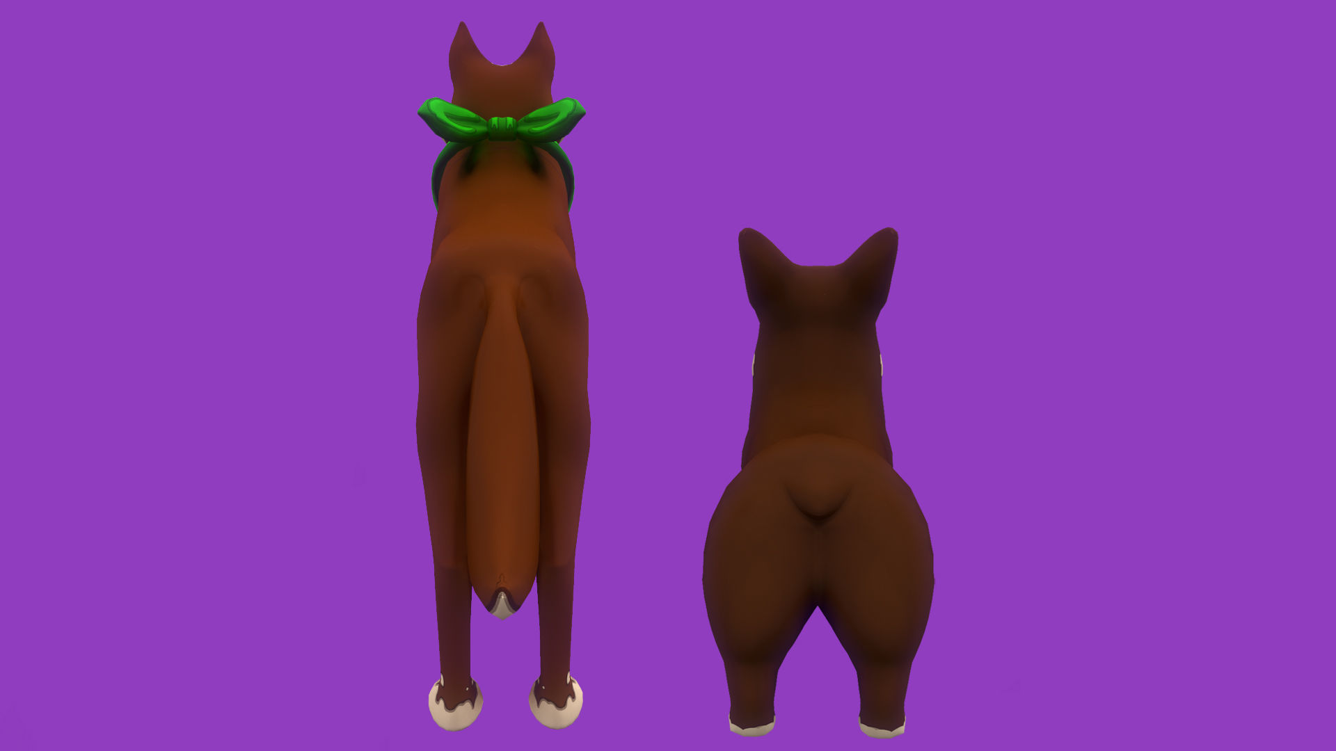Brown Corgy and Brown Husky 3D Model Collection_6