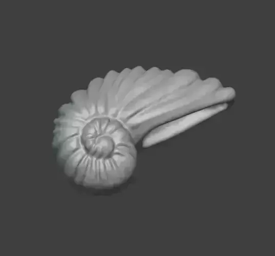 Shell 01