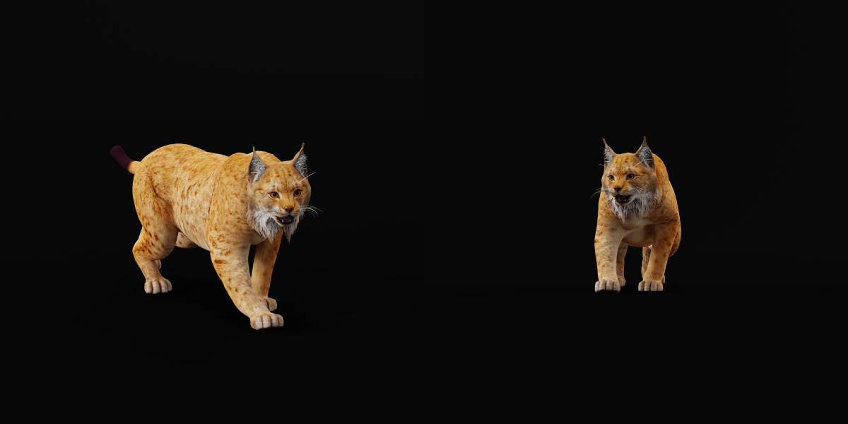 Carpathian Lynx Low-poly 3D model_3