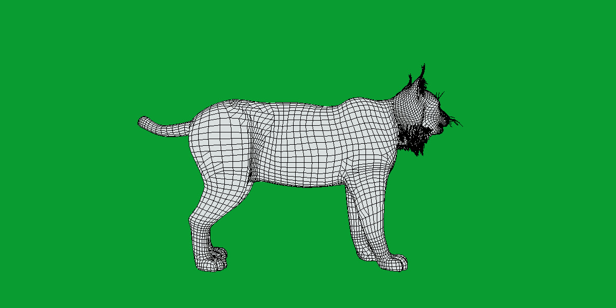 Carpathian Lynx Low-poly 3D model_25