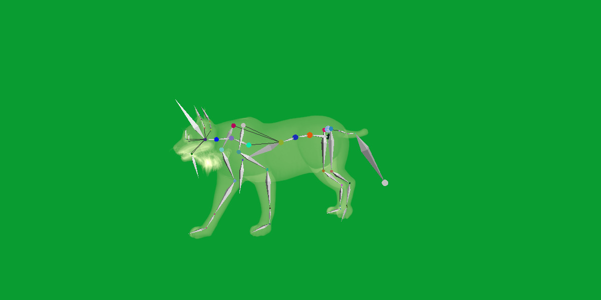 Carpathian Lynx Low-poly 3D model_30