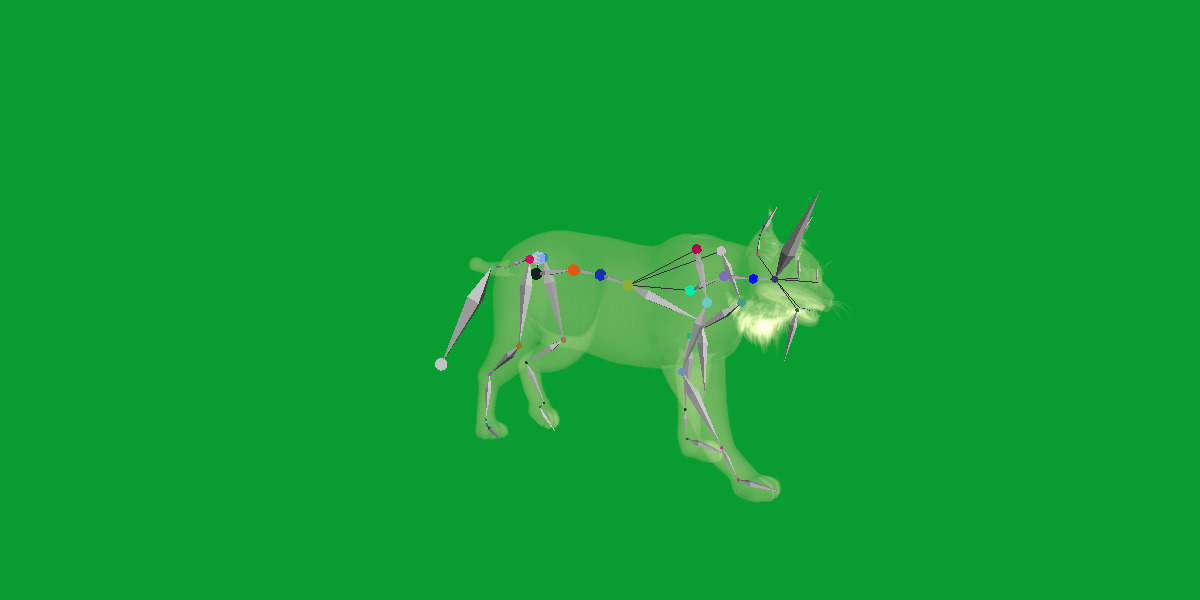 Carpathian Lynx Low-poly 3D model_22