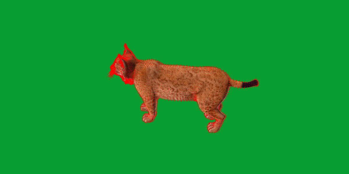 Carpathian Lynx Low-poly 3D model_12