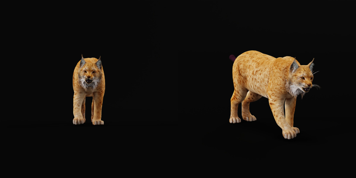 Carpathian Lynx Low-poly 3D model_4