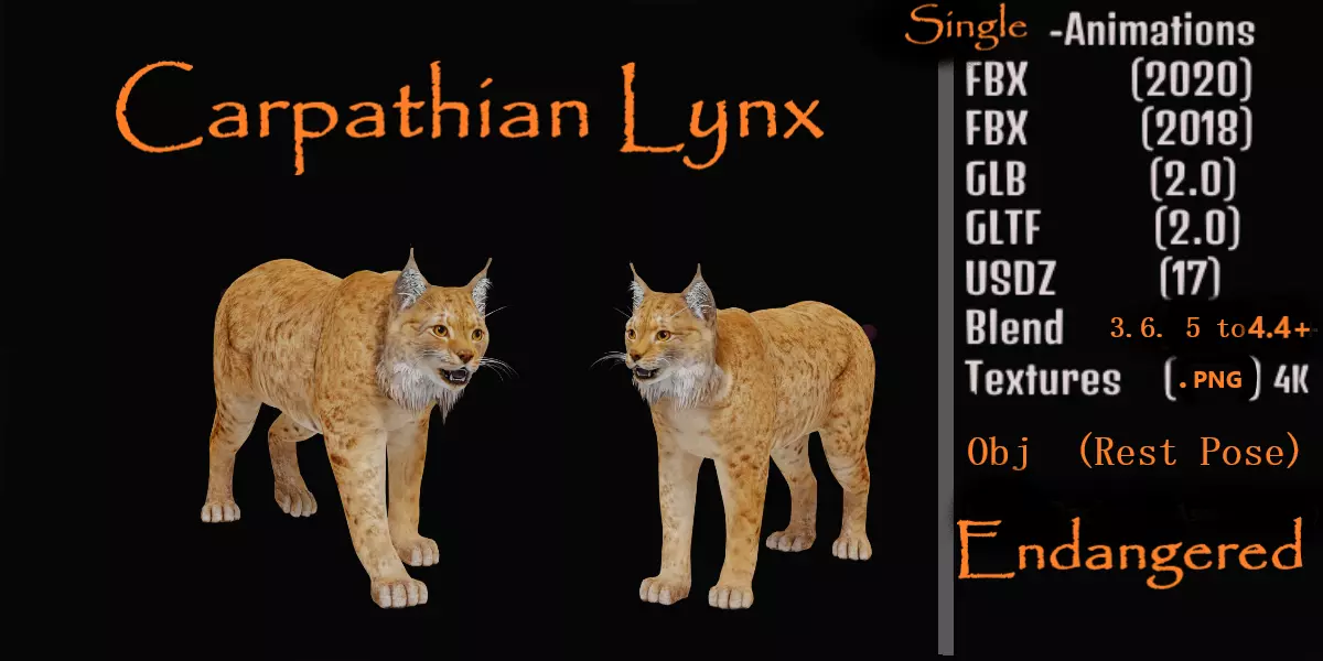 Carpathian Lynx Low-poly 3D model_0