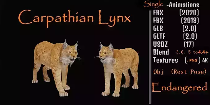 Carpathian Lynx Low-poly 3D model