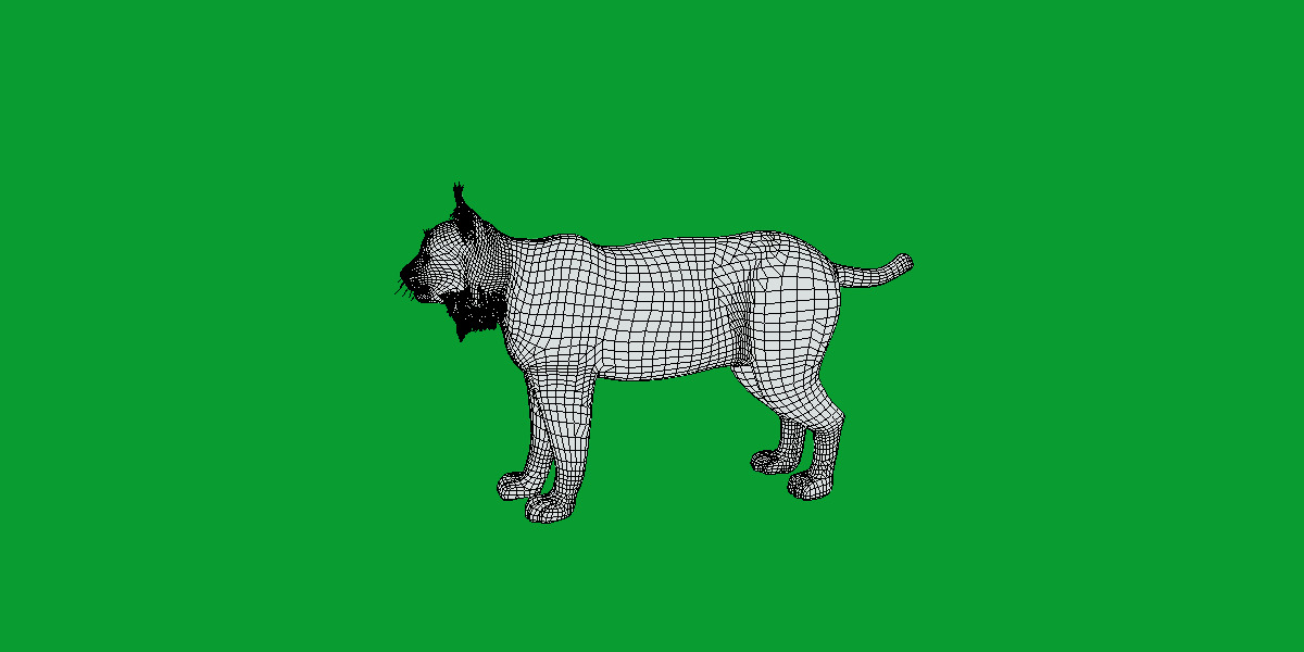 Carpathian Lynx Low-poly 3D model_29