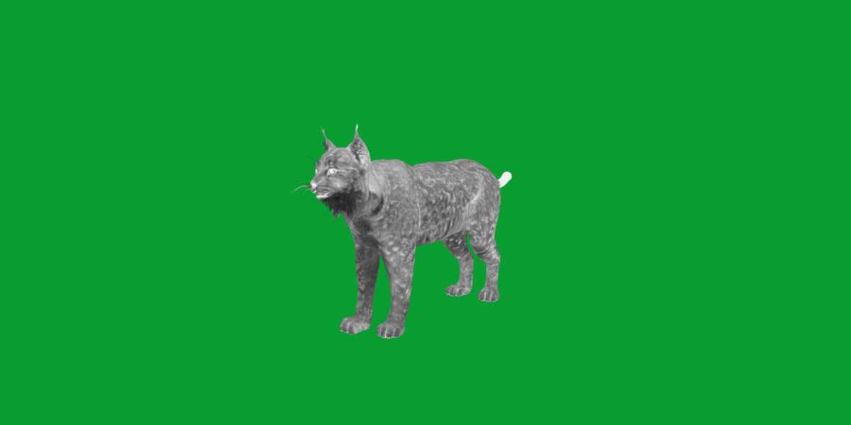 Carpathian Lynx Low-poly 3D model_26