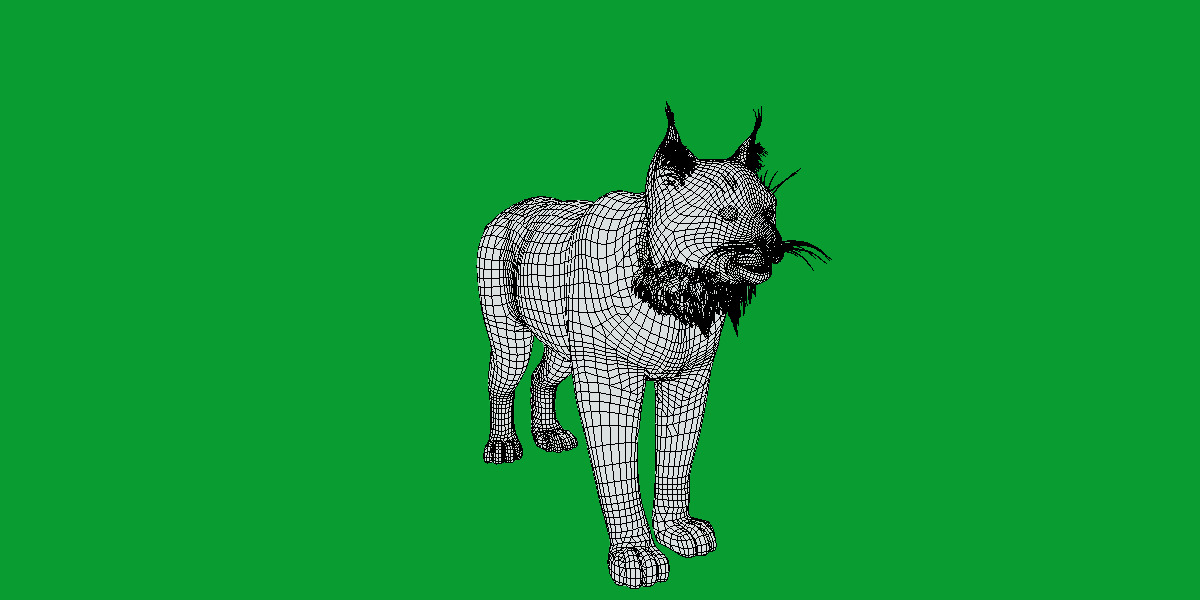Carpathian Lynx Low-poly 3D model_32