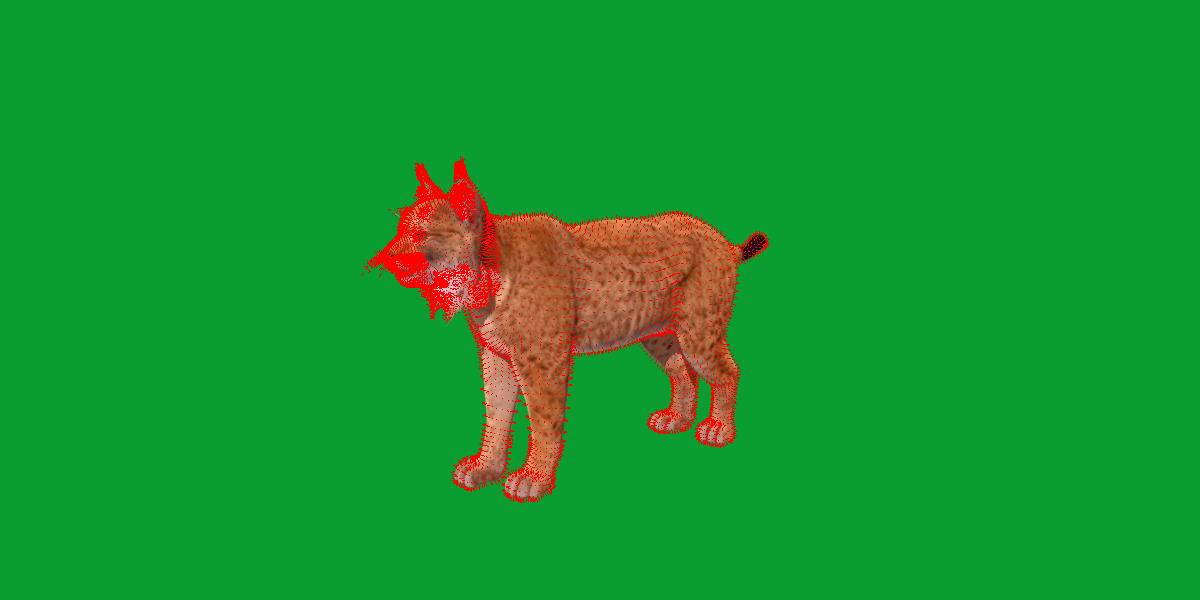 Carpathian Lynx Low-poly 3D model_9