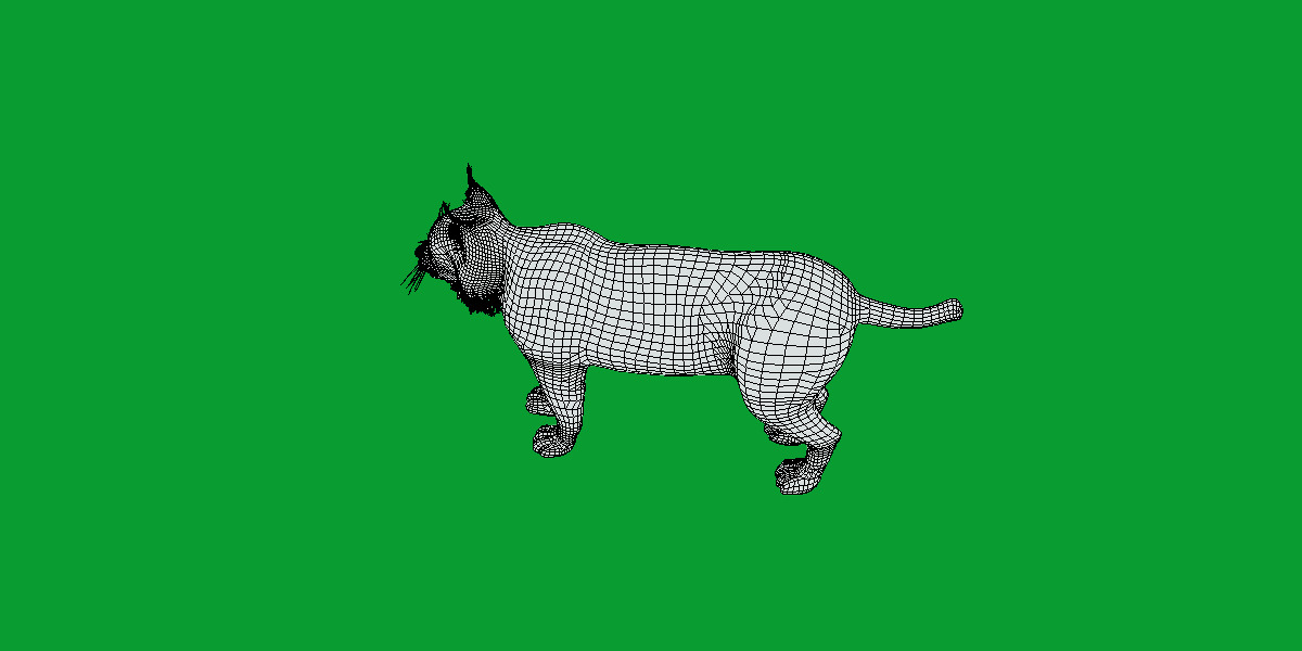 Carpathian Lynx Low-poly 3D model_36