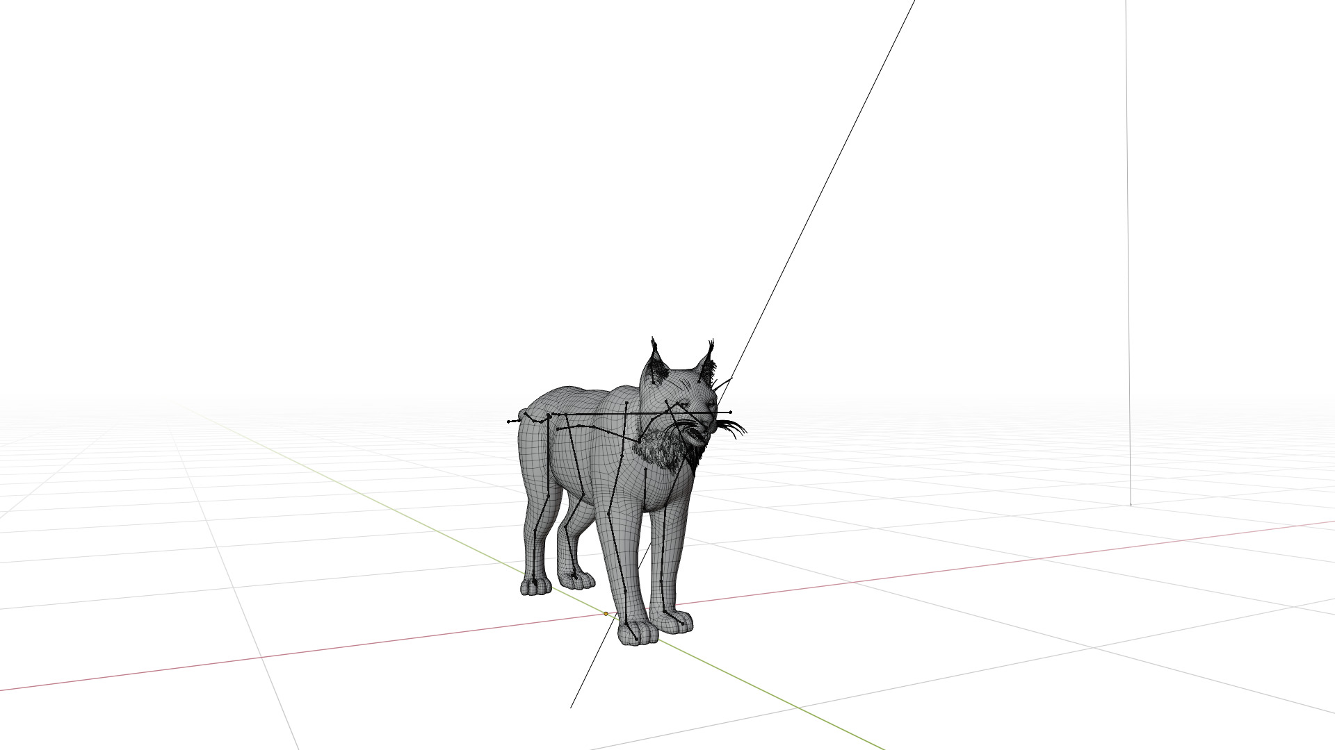 Carpathian Lynx Low-poly 3D model_50