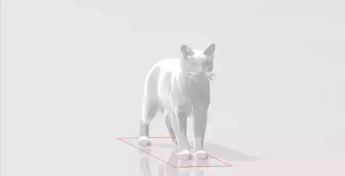 Cat  3D Model
