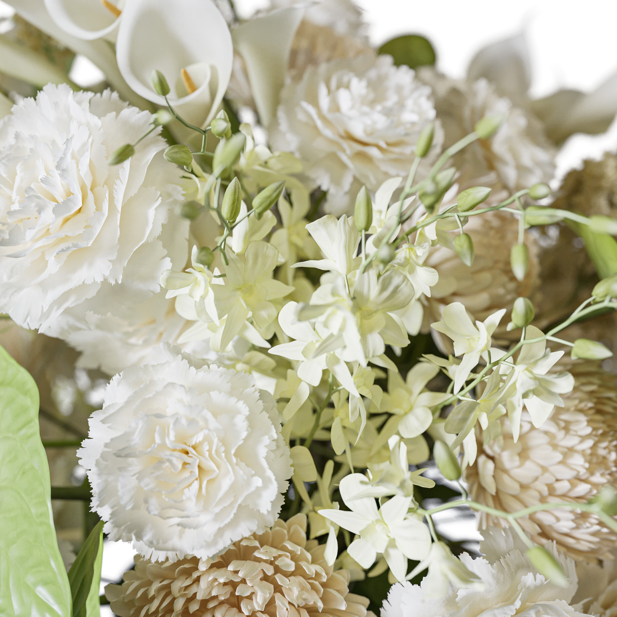 Flower Set 107 Pure Botanical Charm 3D model_3