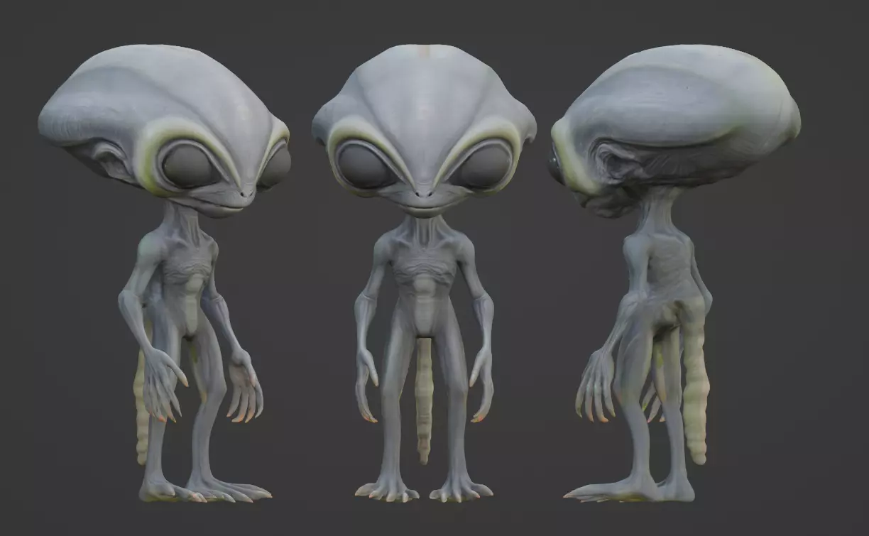 Realistic Gray Alien 3D print model_0