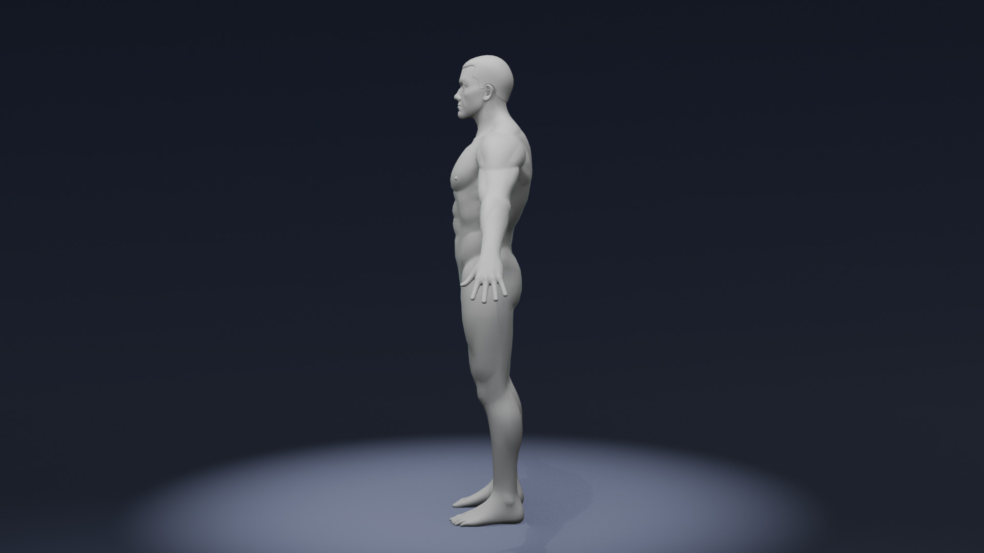 Stylized Human Body Base Mesh 3D Model Pack Rigged IK FK Switch Low-poly 3D model_57