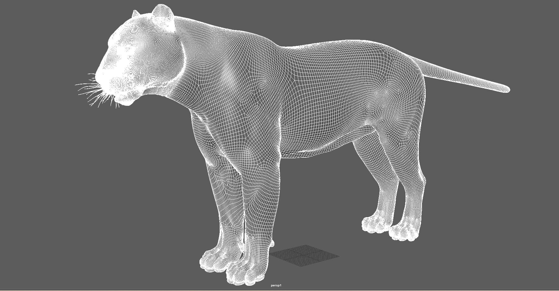 Tiger Low-poly 3D model_8
