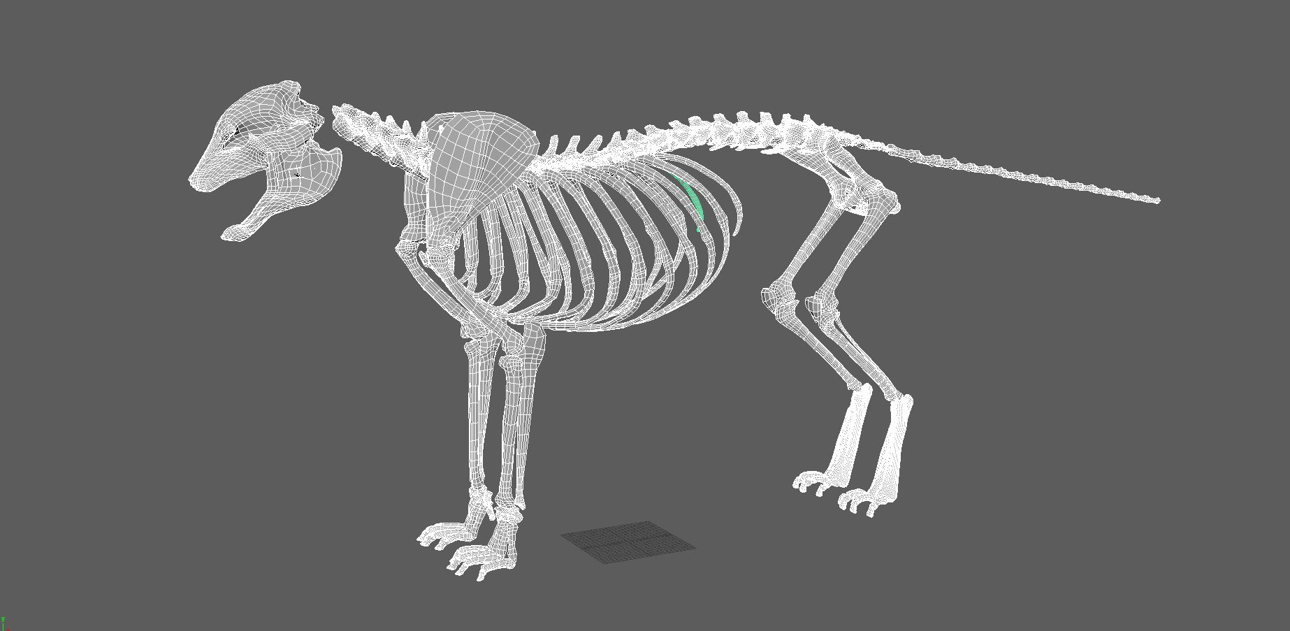 Tiger Low-poly 3D model_11