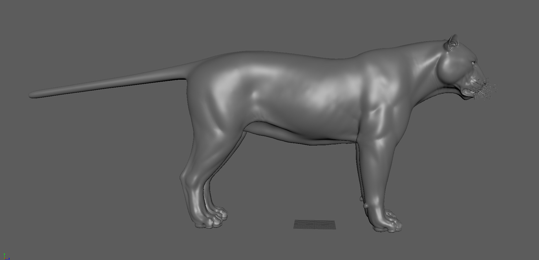 Tiger Low-poly 3D model_3