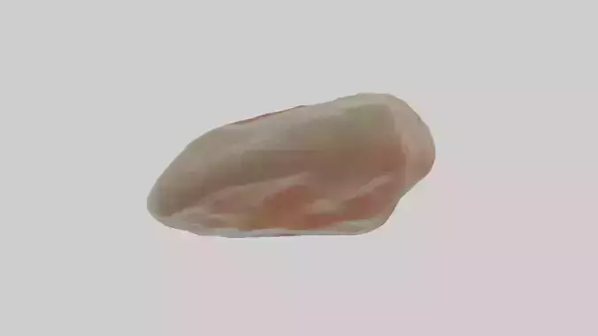 Cartilage Tissue Model