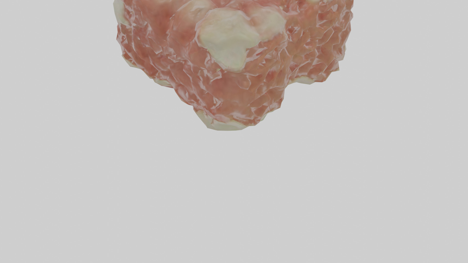 Cartilage Tissue Model fibrocartilage Low-poly 3D model_6