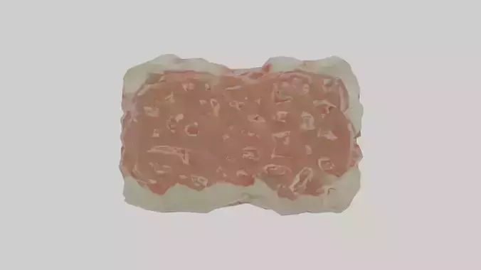 Cartilage Tissue Model fibrocartilage Low-poly 3D model