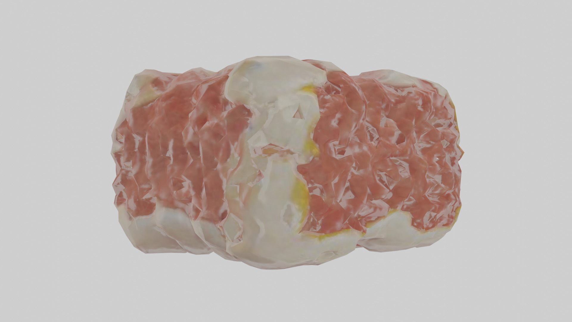 Cartilage Tissue Model fibrocartilage Low-poly 3D model_10