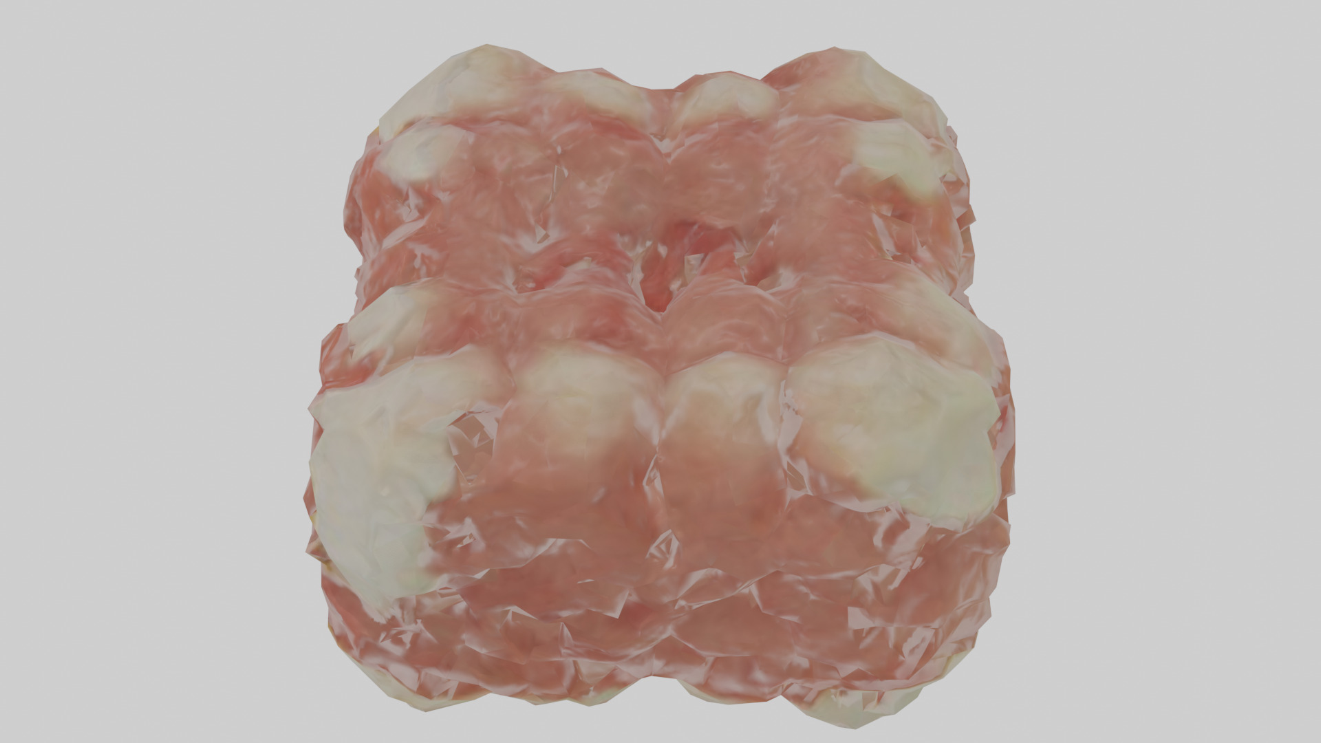 Cartilage Tissue Model fibrocartilage Low-poly 3D model_26